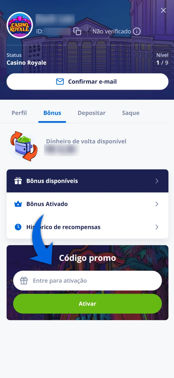 Insira o código no campo indicado em seu perfil do Vulkan Vegas.